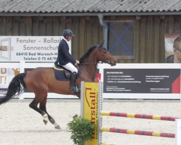 Springturnier Memmingen 2022