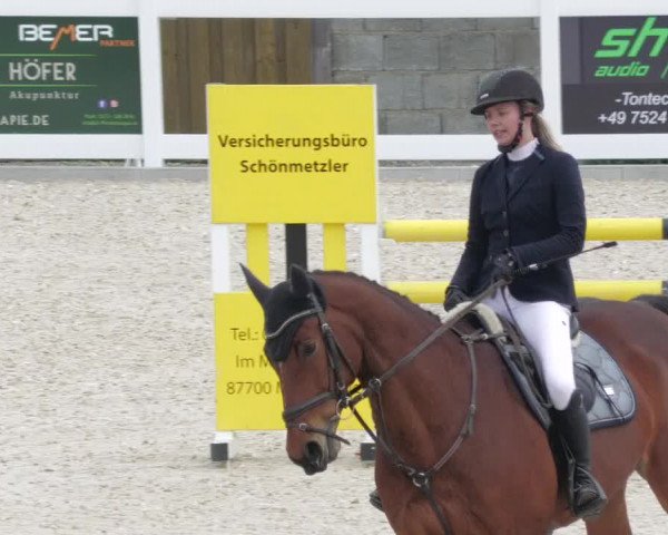 Springturnier Memmingen 2022