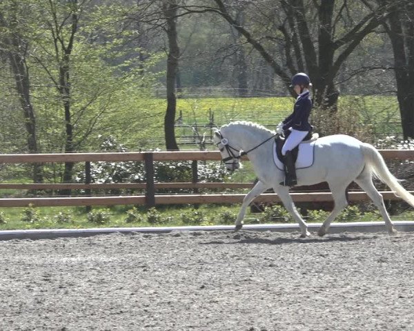 Reitturnier Schwanewede 2022