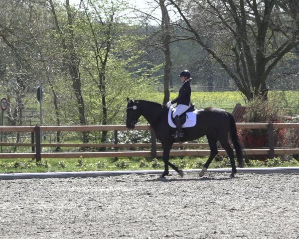 Reitturnier Schwanewede 2022