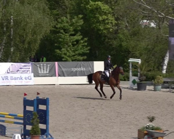 Reitturnier Monheim - Gut Blee 2022
