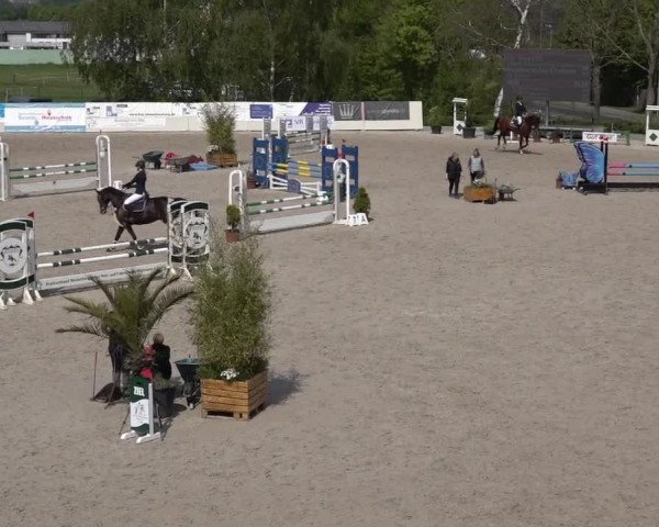 Reitturnier Monheim - Gut Blee 2022