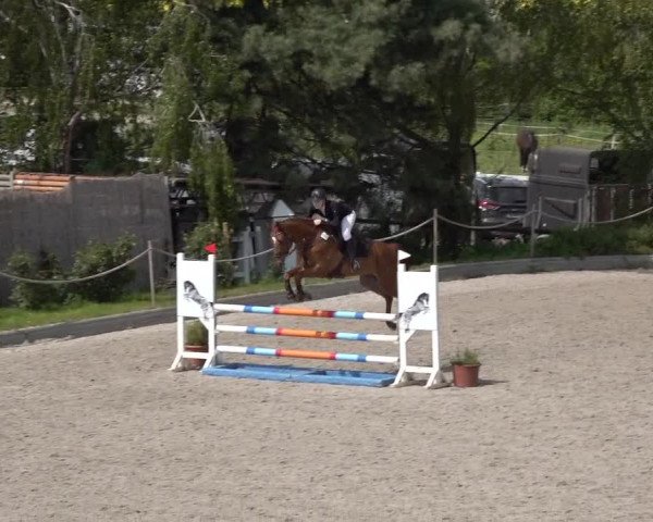 Reitturnier Monheim - Gut Blee 2022