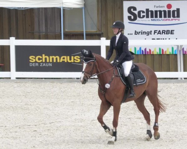 Springturnier Memmingen 2022