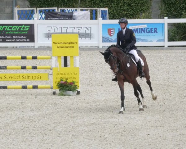 Springturnier Memmingen 2022
