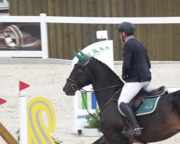 Springturnier Memmingen 2022