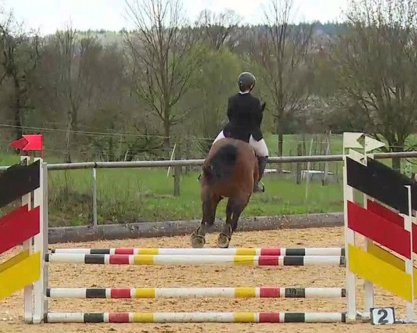 Reitturnier Altentrüdingen/Mfr. 2022