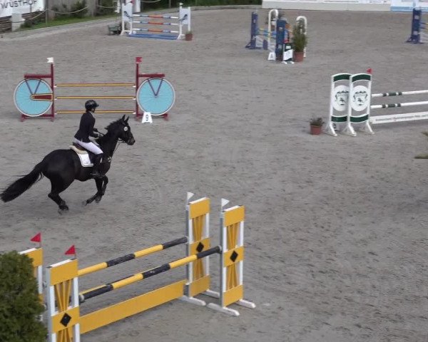 Reitturnier Monheim - Gut Blee 2022