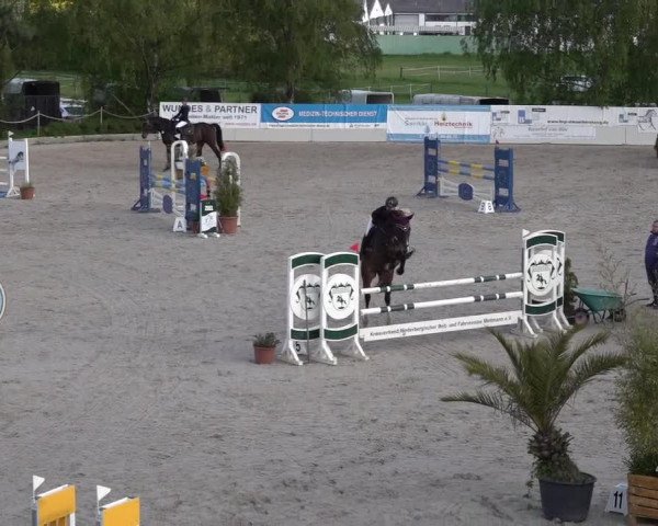 Reitturnier Monheim - Gut Blee 2022