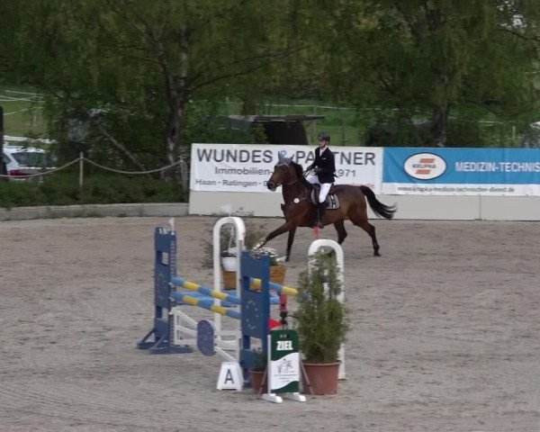 Reitturnier Monheim - Gut Blee 2022