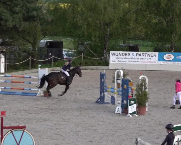 Reitturnier Monheim - Gut Blee 2022