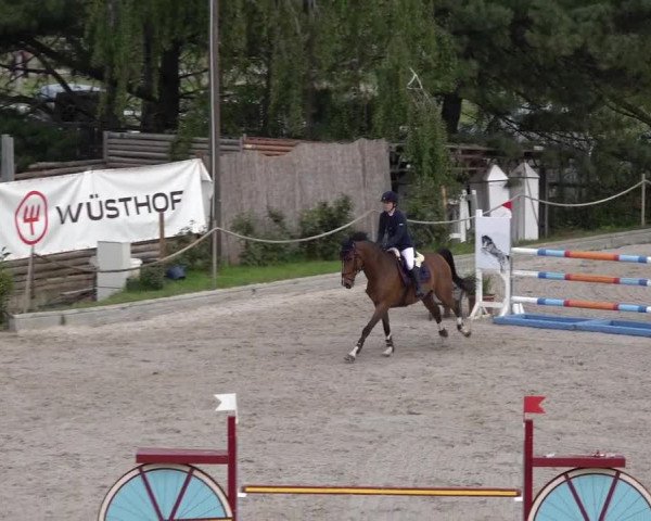 Reitturnier Monheim - Gut Blee 2022