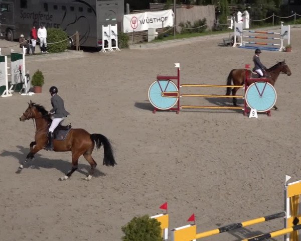 Reitturnier Monheim - Gut Blee 2022