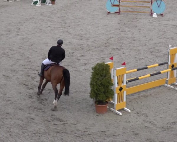 Reitturnier Monheim - Gut Blee 2022