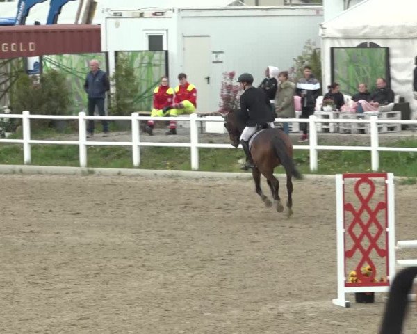 Reitturnier Ried am Riederberg 2022