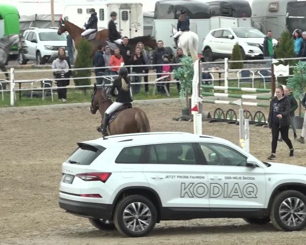Reitturnier Ried am Riederberg 2022