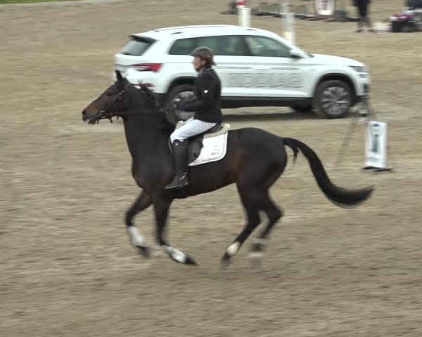 Reitturnier Ried am Riederberg 2022