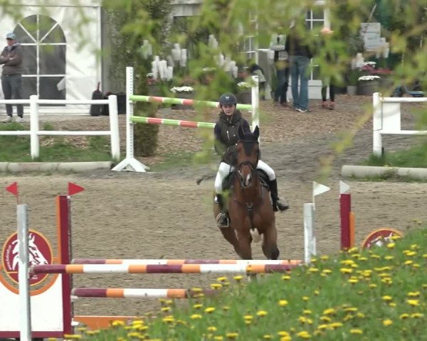 Reitturnier Ried am Riederberg 2022