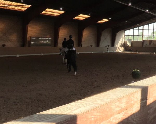Reitturnier Kamen 2022