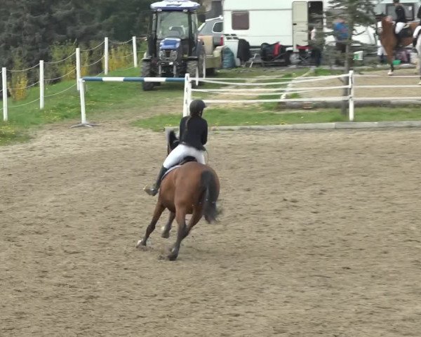 Reitturnier Ried am Riederberg 2022