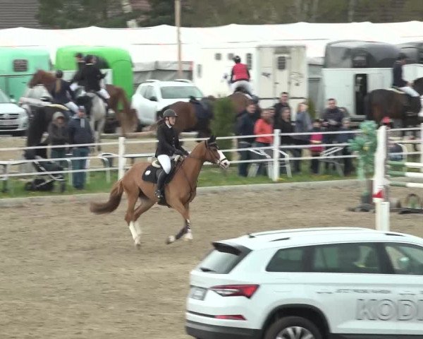 Reitturnier Ried am Riederberg 2022