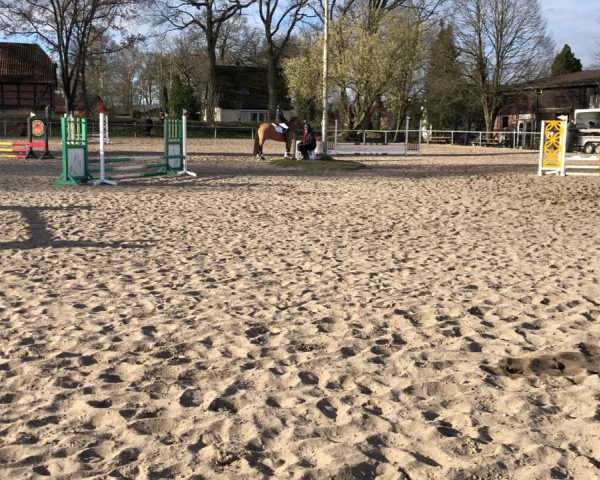 Video von Golden Girl 168