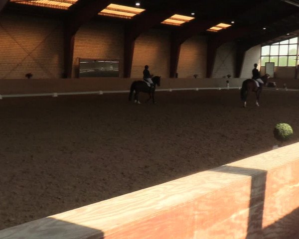 Reitturnier Kamen 2022