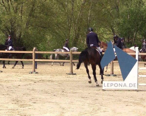 Reitturnier Kamen 2022