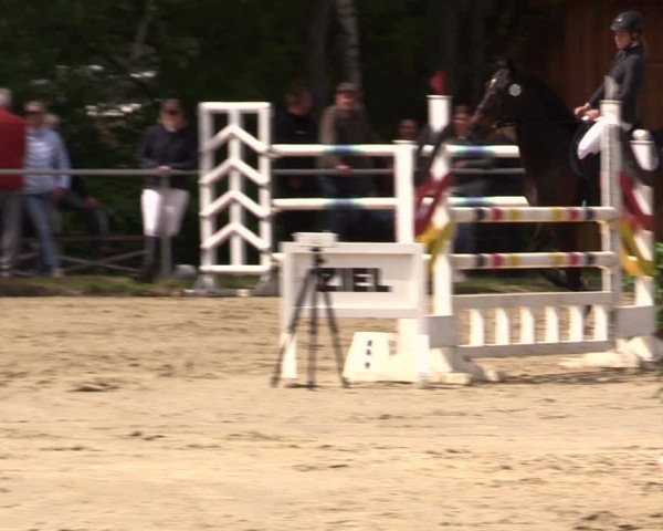 Reitturnier Kamen 2022