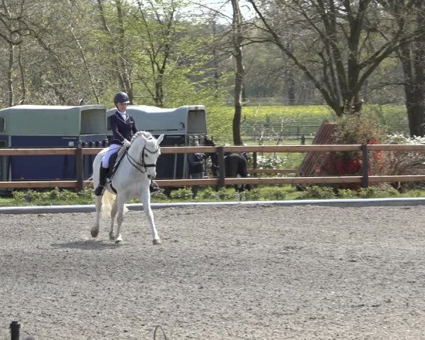 Reitturnier Schwanewede 2022