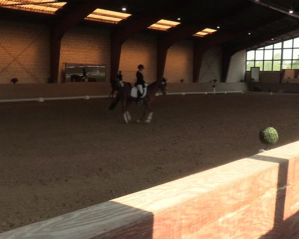 Reitturnier Kamen 2022