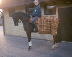 broodmare Golden Touch (Oldenburg, 1983, from Grannus)
