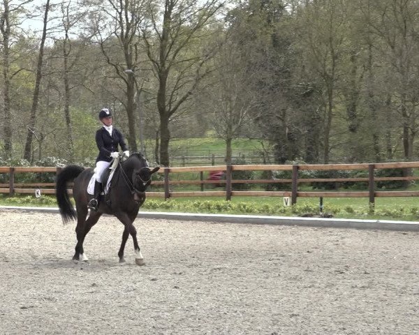 Reitturnier Schwanewede 2022