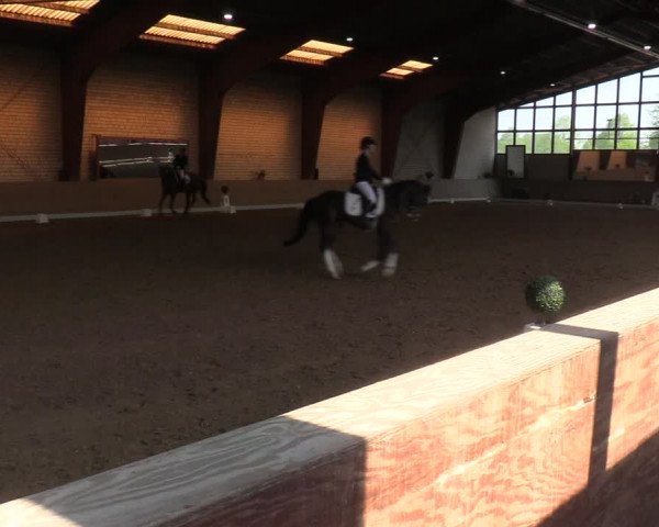 Reitturnier Kamen 2022