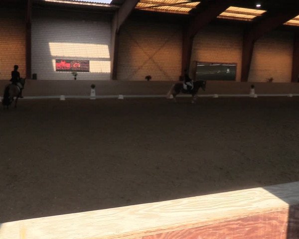 Reitturnier Kamen 2022