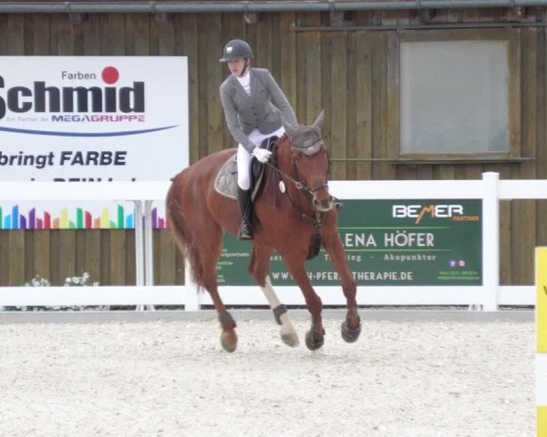 Springturnier Memmingen 2022