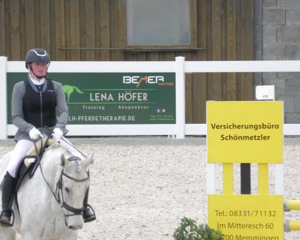 Springturnier Memmingen 2022