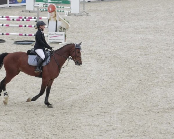 Springturnier Memmingen 2022