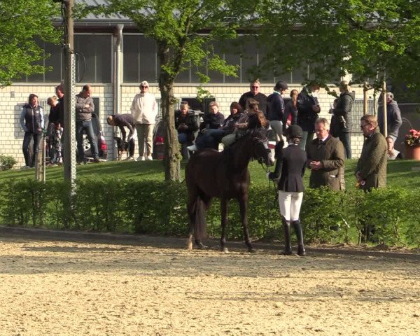 Pony- und Juniorenturnier Olfen-Vinnum 2022