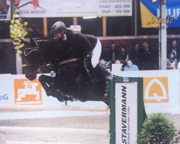 broodmare Winteraster (Oldenburg, 2004, from Don Gregory)