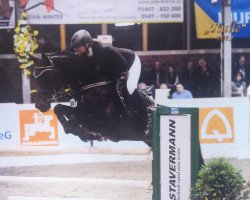 broodmare Winteraster (Oldenburg, 2004, from Don Gregory)