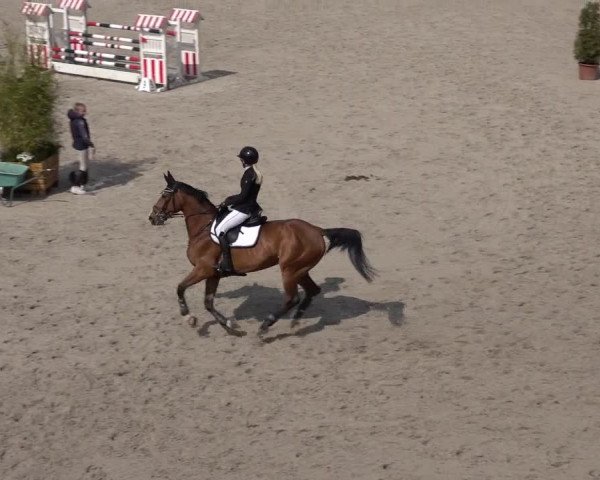 Reitturnier Monheim - Gut Blee 2022