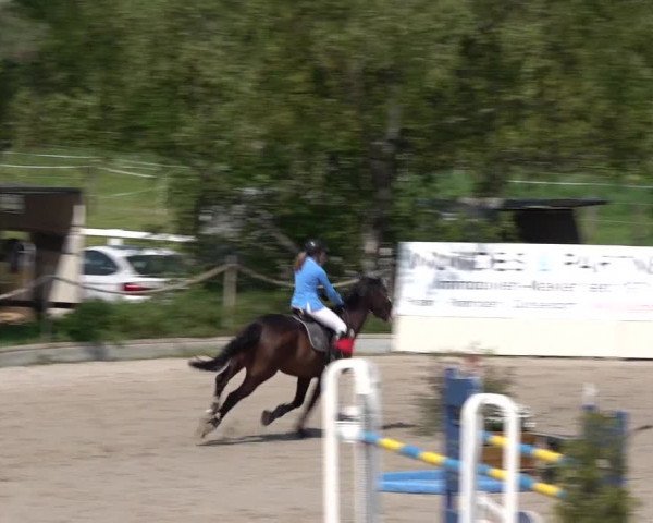 Reitturnier Monheim - Gut Blee 2022