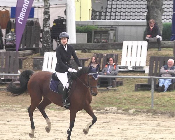 Reitturnier Neunkirchen-City 2021