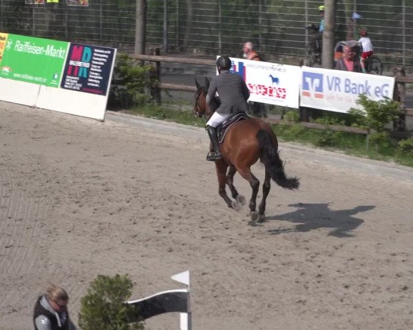 Reitturnier Monheim - Gut Blee 2022
