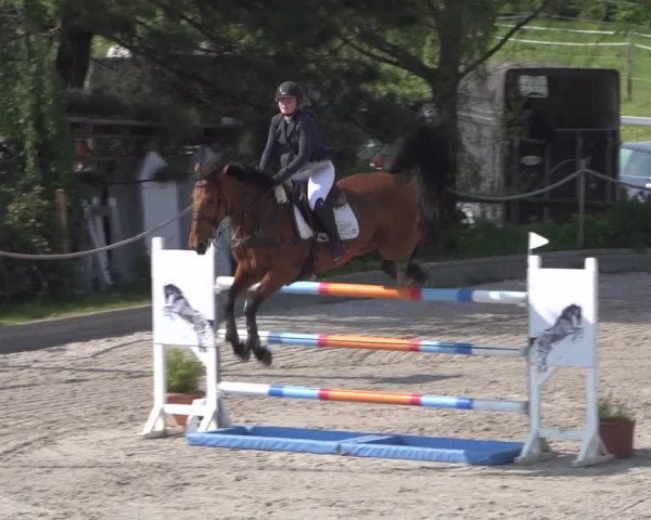 Reitturnier Monheim - Gut Blee 2022
