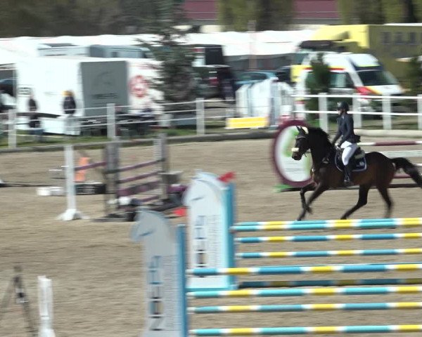 Reitturnier Ried am Riederberg 2022