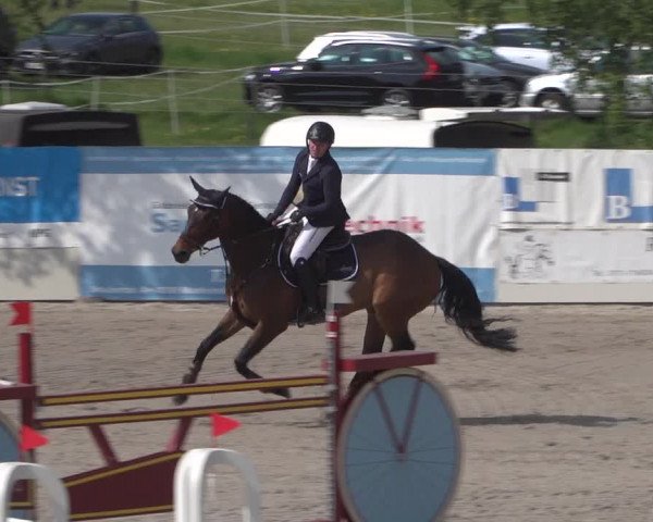 Reitturnier Monheim - Gut Blee 2022