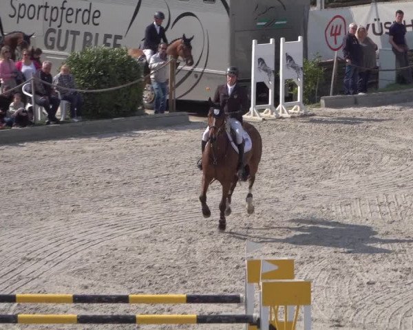 Reitturnier Monheim - Gut Blee 2022
