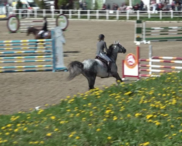 Reitturnier Ried am Riederberg 2022